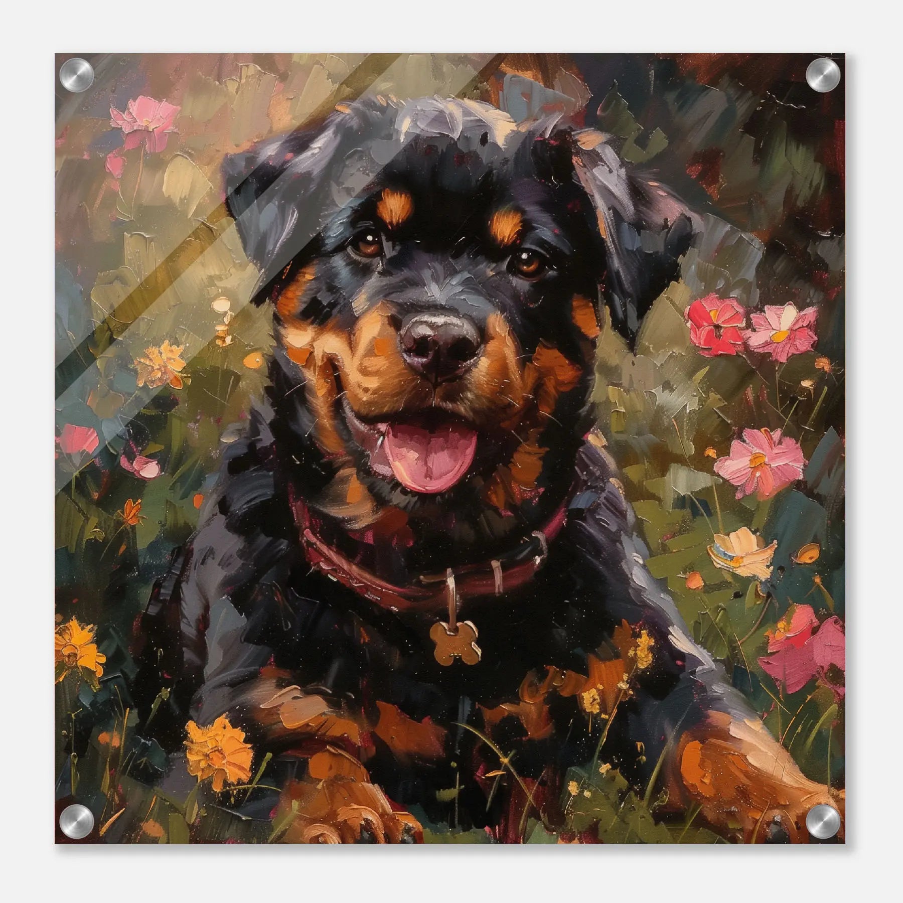 Rottweiler
