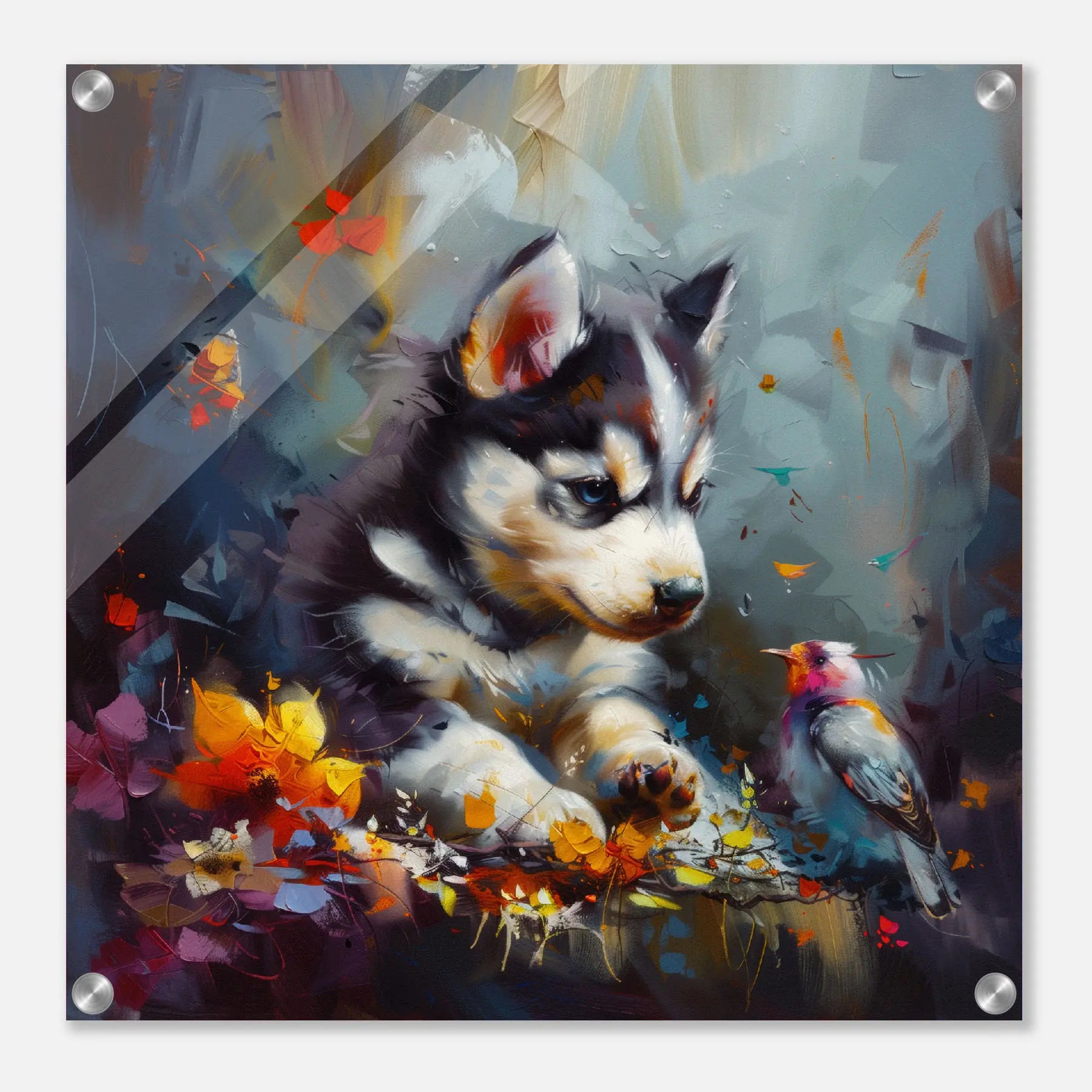 Siberian Husky