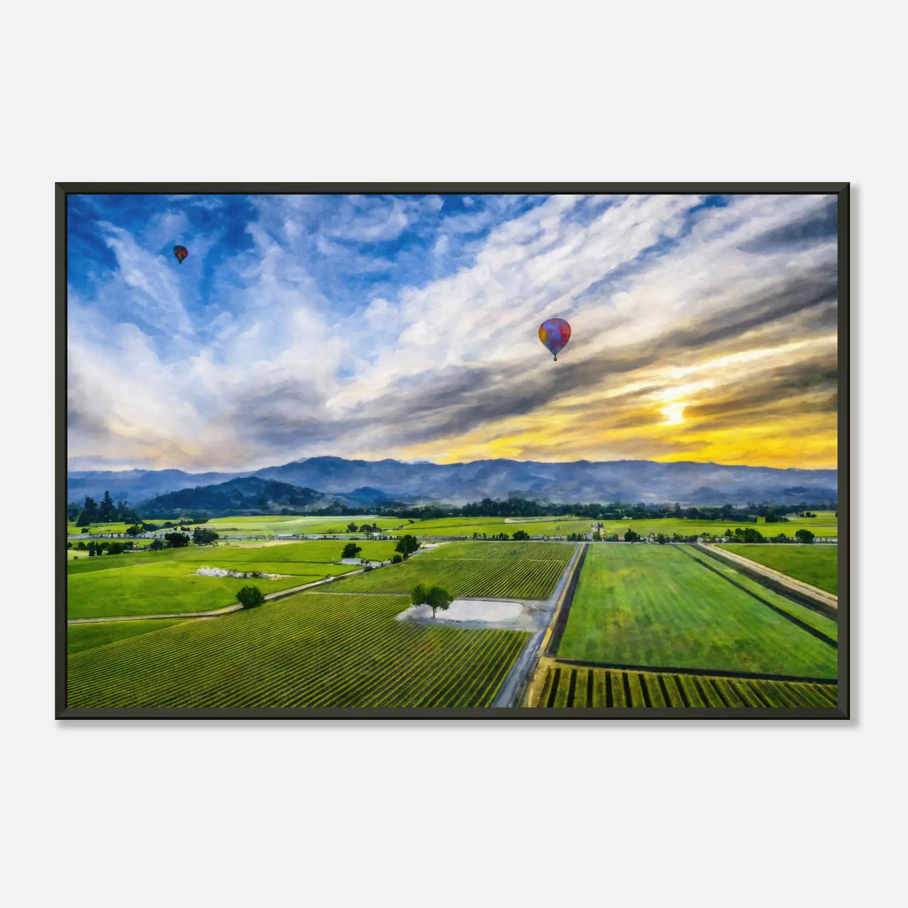 Napa Valley - United States