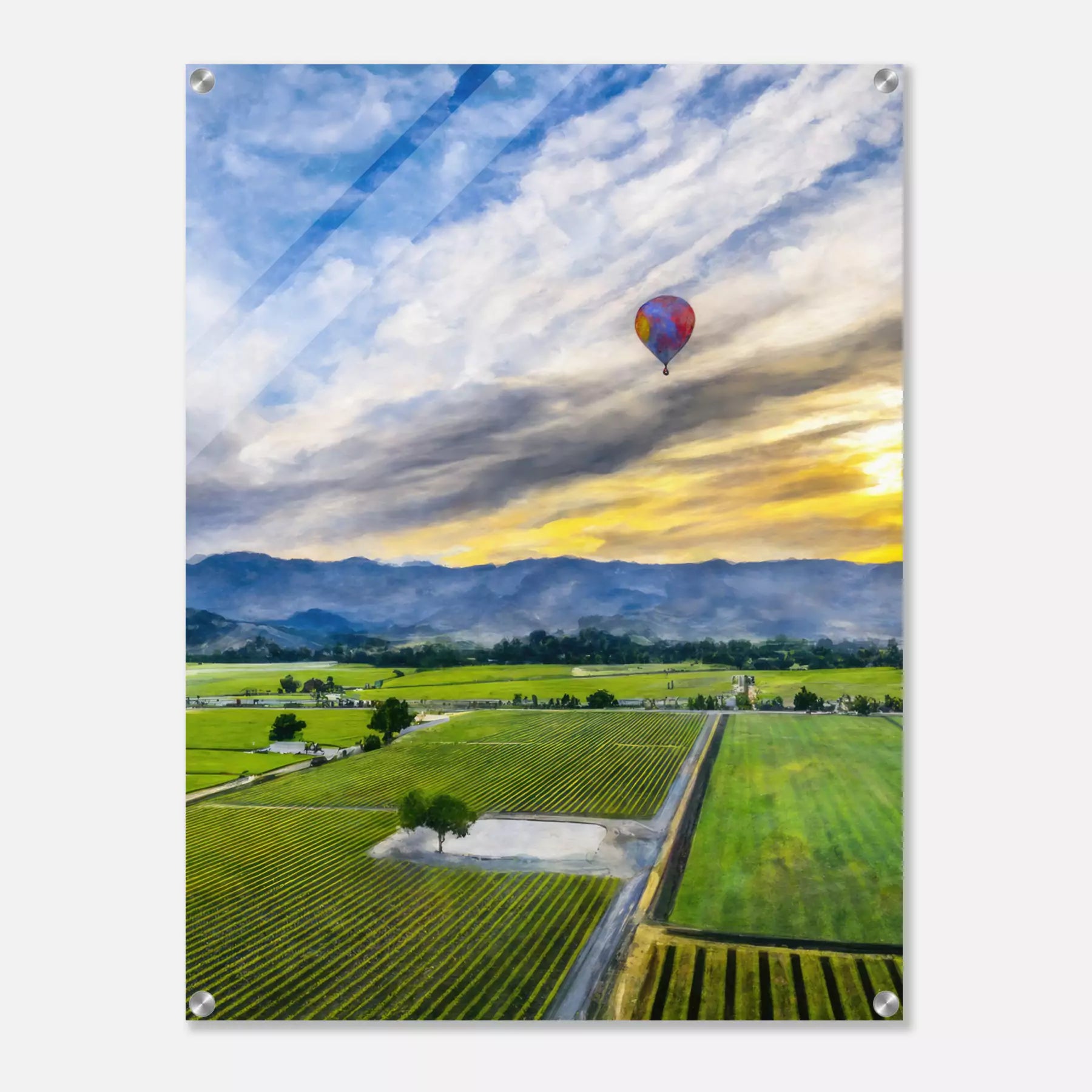 Napa Valley - United States (Portrait Edition)