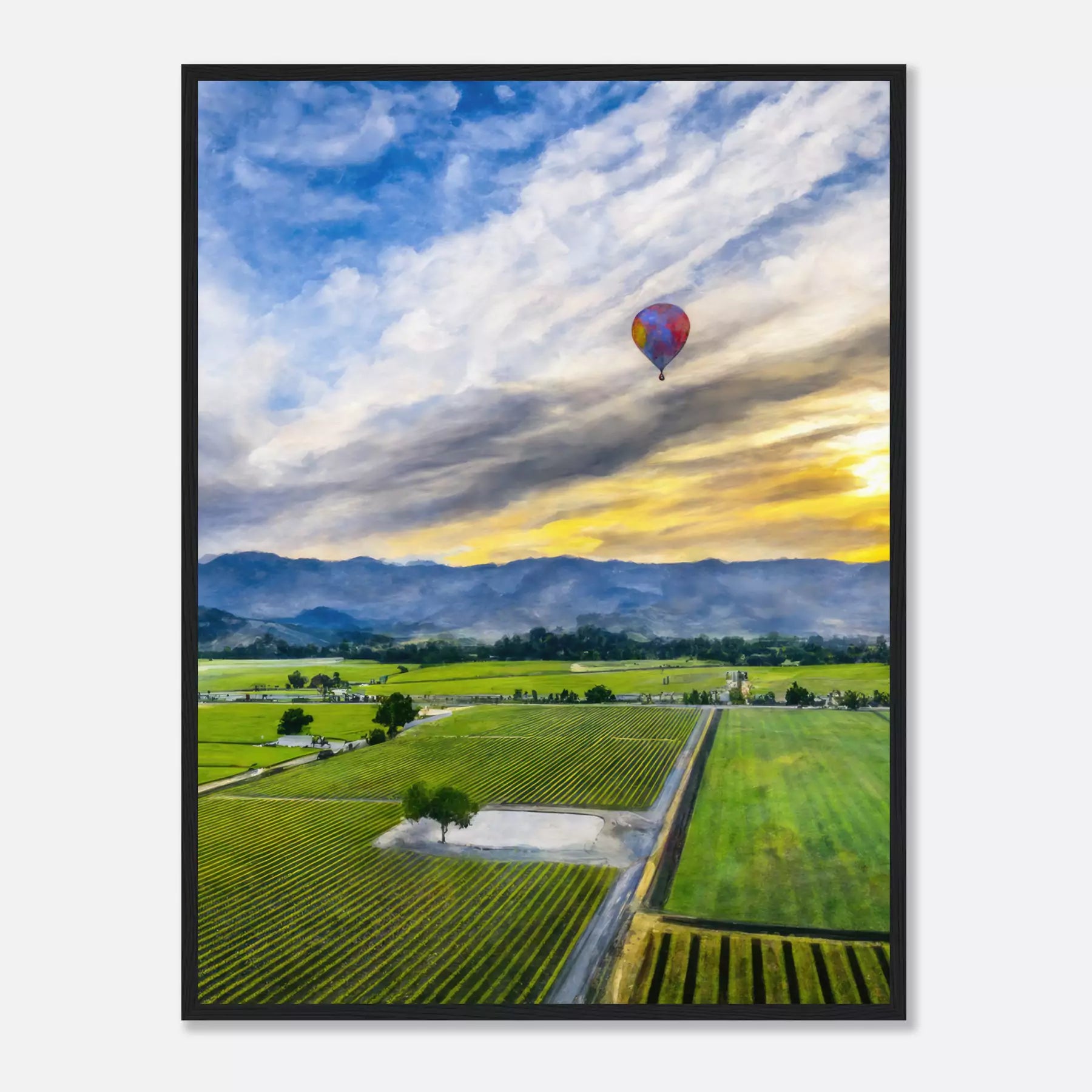 Napa Valley - United States (Portrait Edition)