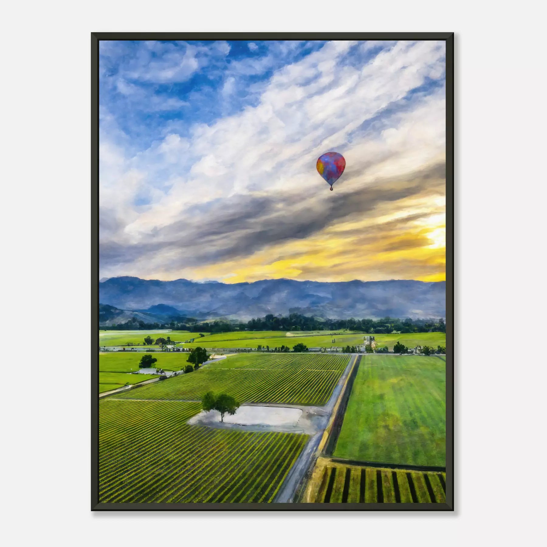 Napa Valley - United States (Portrait Edition)