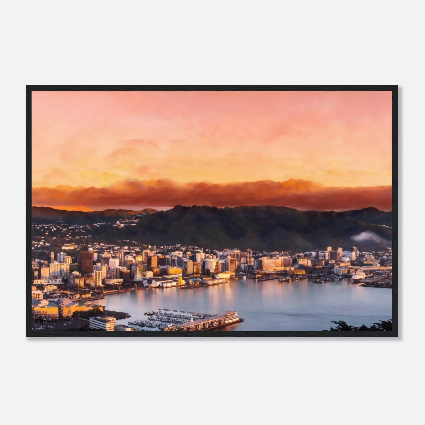 Wellington - New Zealand