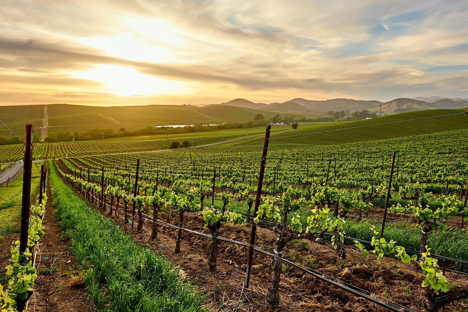 The Definitive Travel Guide to Napa Valley United States