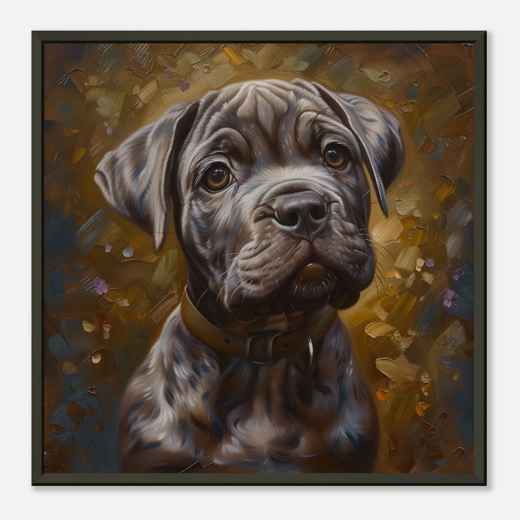 Cane Corso