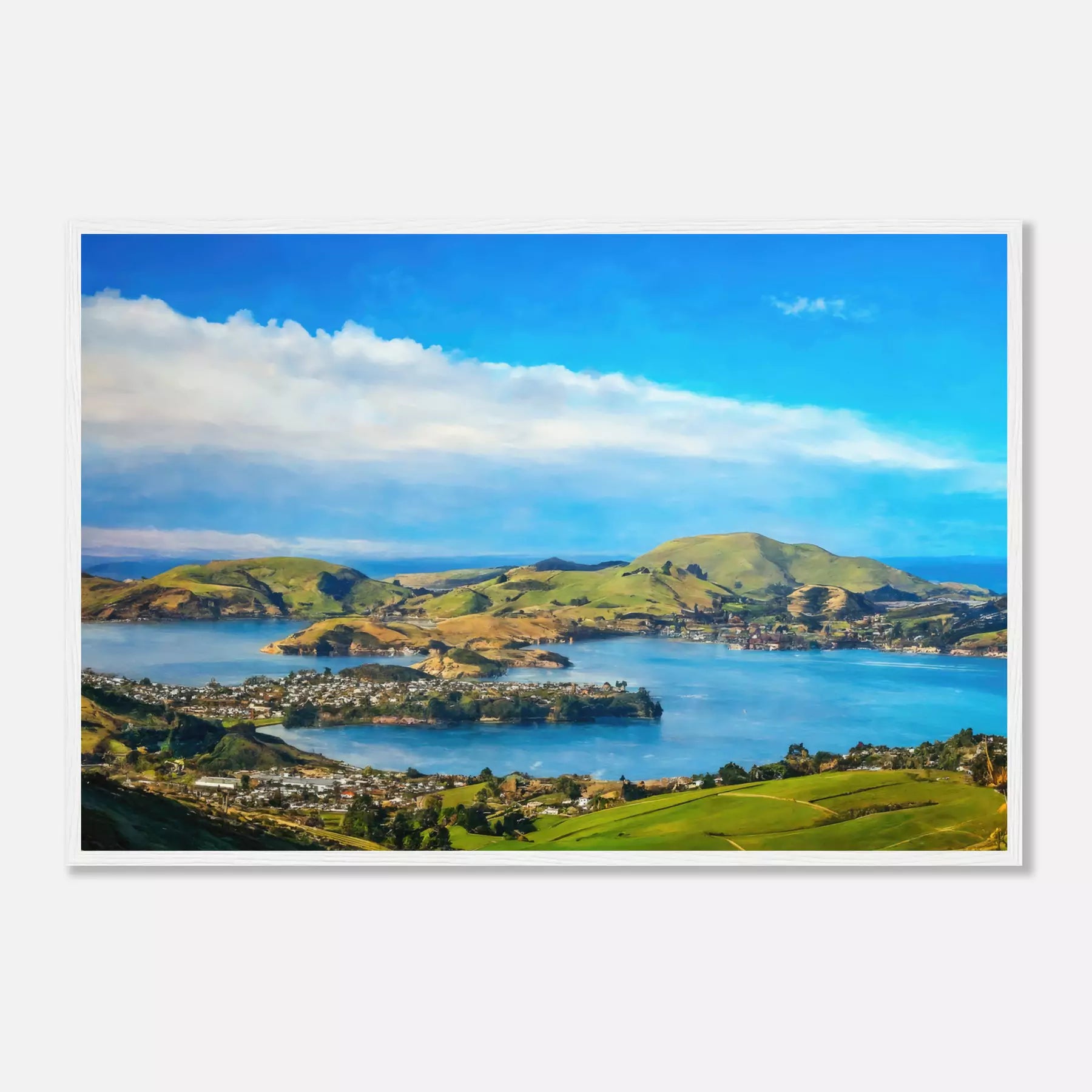 Dunedin - New Zealand